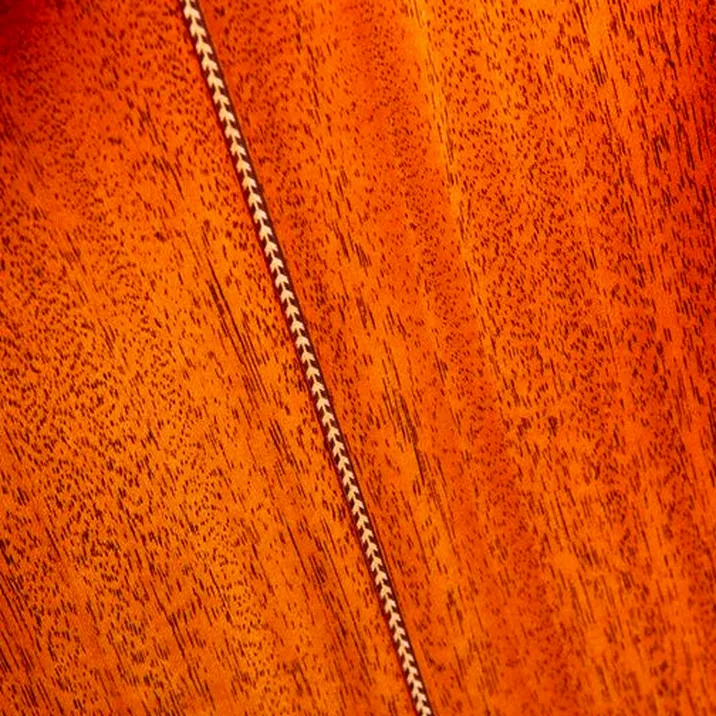Godin Connaisseur MJ Sunsetburst Mah