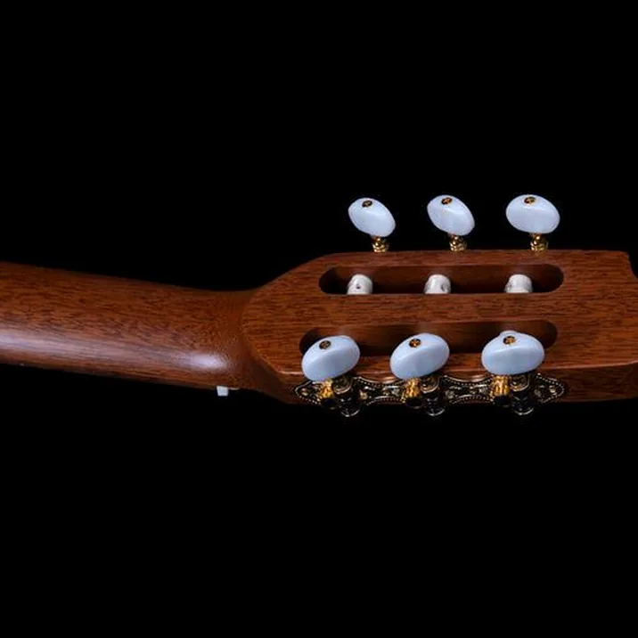 Godin Etude