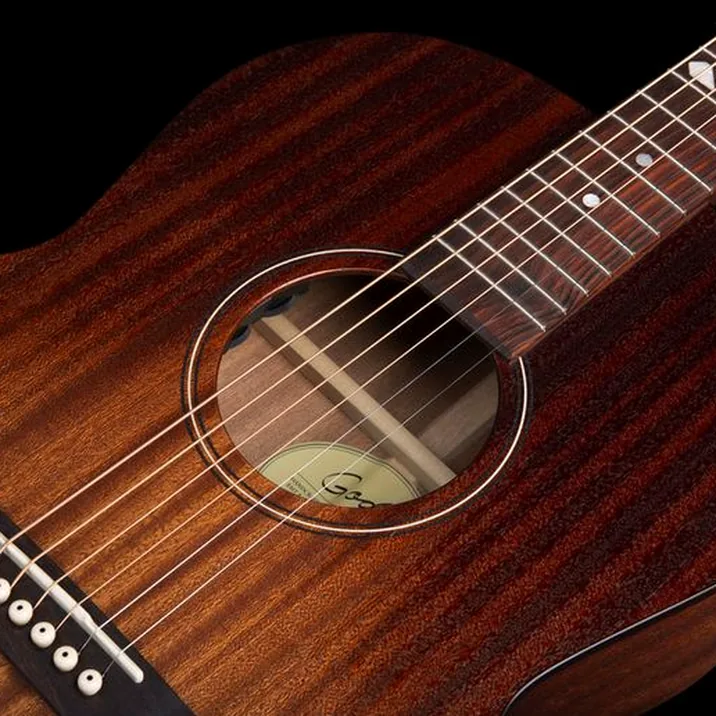 Godin Folk LTD Mahogany A/E Rust Bst