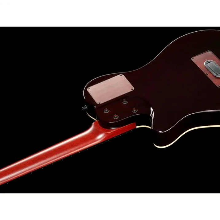 Godin Grand Concert Sa Akustikgitarre