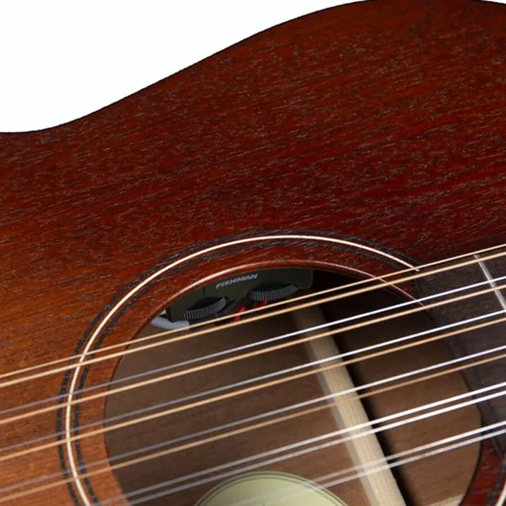Godin Mahogany Folk 12 Rustic B A/E