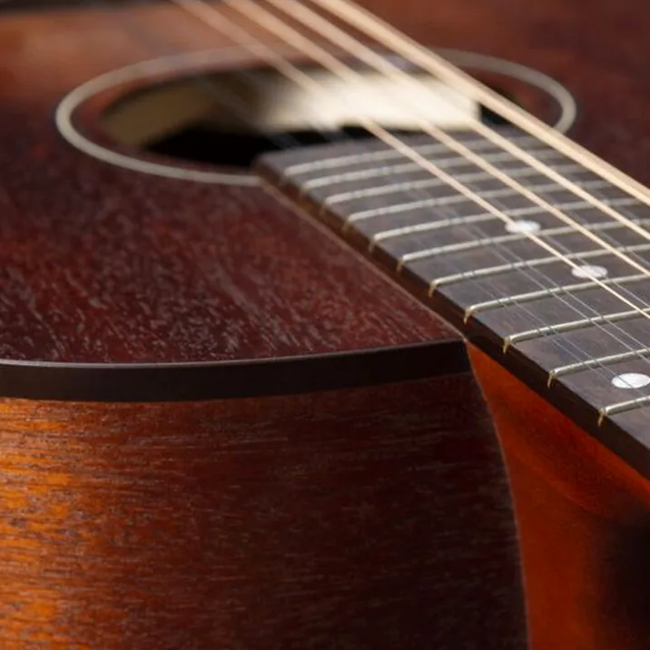 Godin Mahogany Folk 12 Rustic B A/E