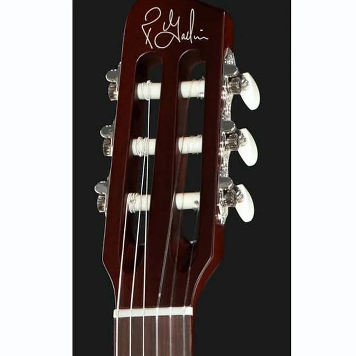 Godin Multiac Encore