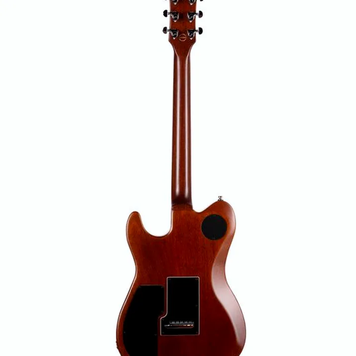 Godin Radium-X Natural with Bag