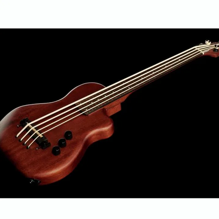 Gold Tone Me Bass Fretless