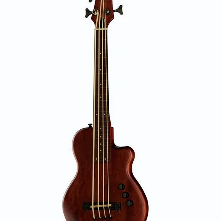 Gold Tone ME-BASS/Fretless