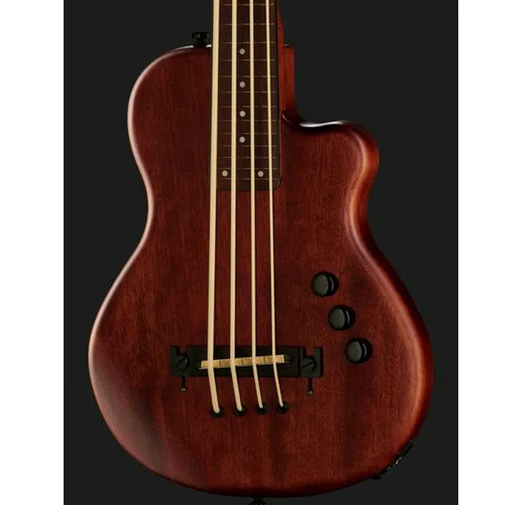 Gold Tone Me Bass Fretless