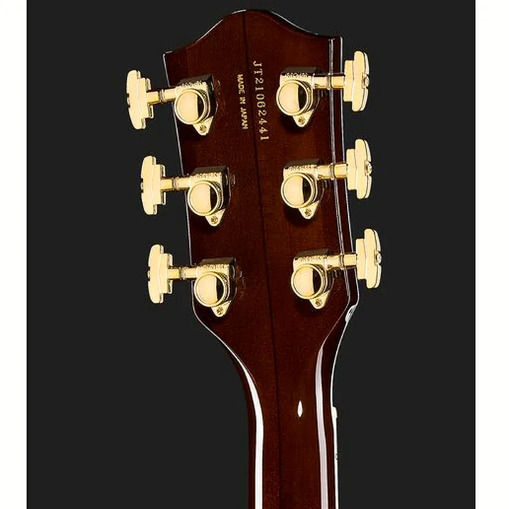 Gretsch G6122Tg Pl Ed Ctrygentl Wlnt