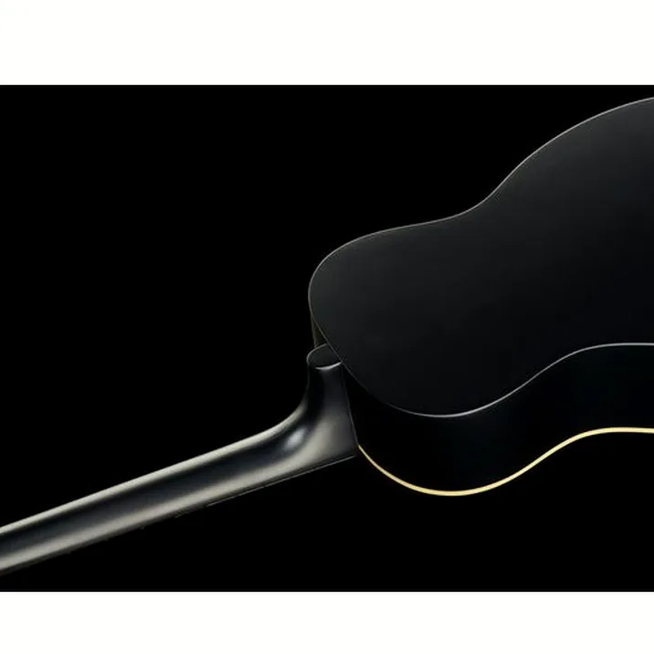 Gretsch G9500 Jim Dandy Flat Top