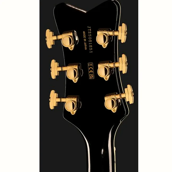Gretsch G6134TG LTD Paisley Penguin GD