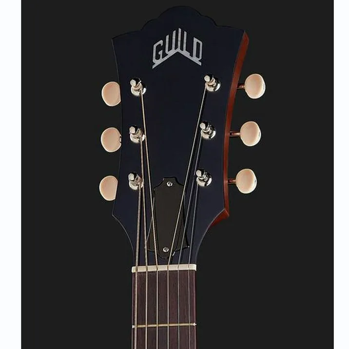 Guild D 40E Natural Usa