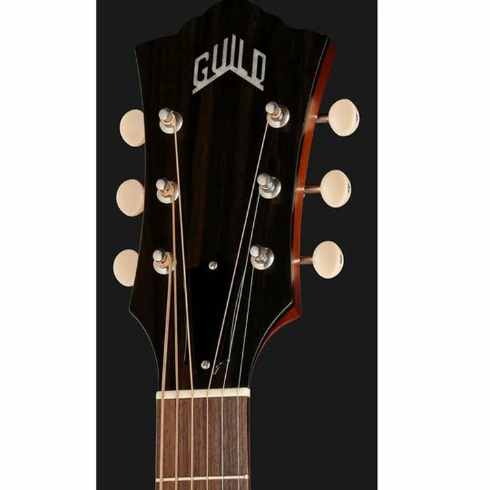 Guild D-40E Std PSB USA