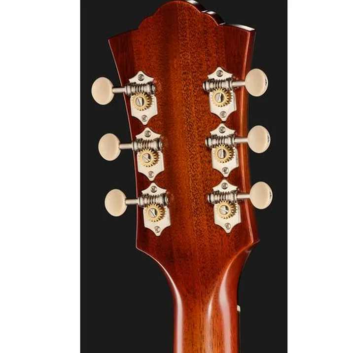 Guild D-40E Std PSB USA