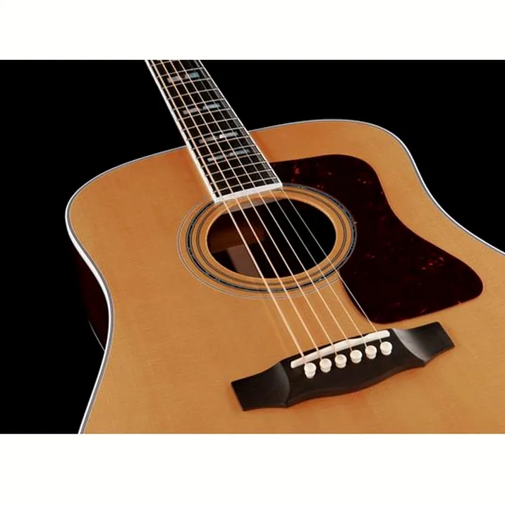 Guild D55 Na Usa
