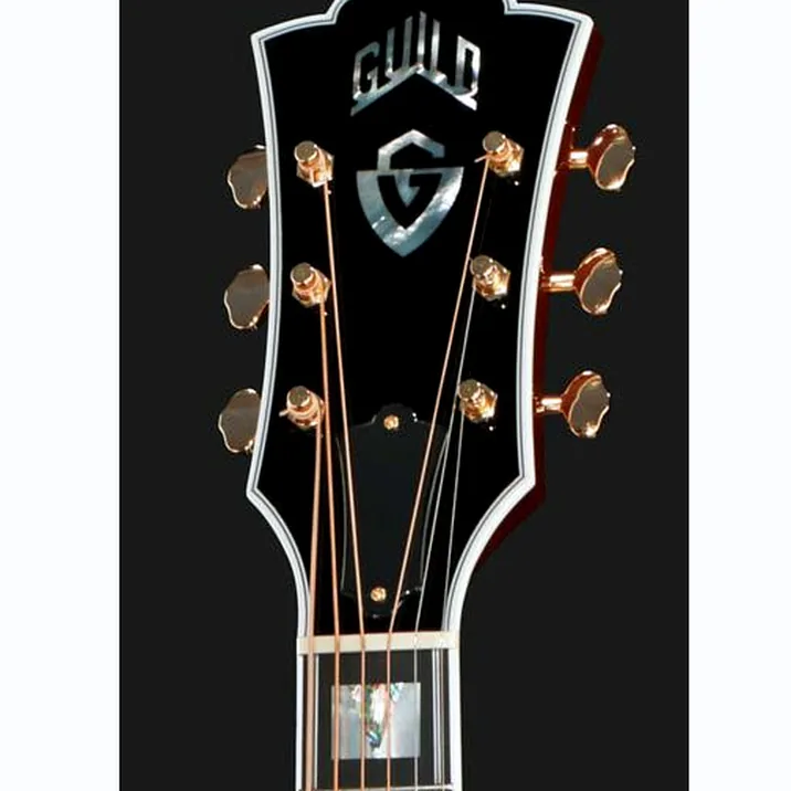 Guild D55 Na Usa