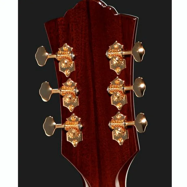 Guild D55 Na Usa