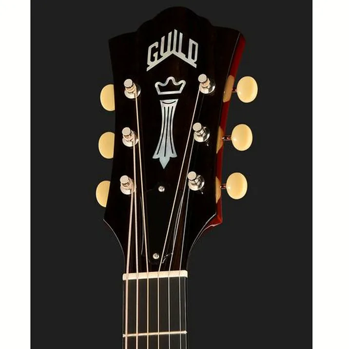 Guild Limited Edition D-50T NAT