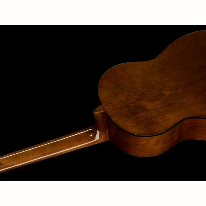 Hamaril Acoustic Guitar Set 2