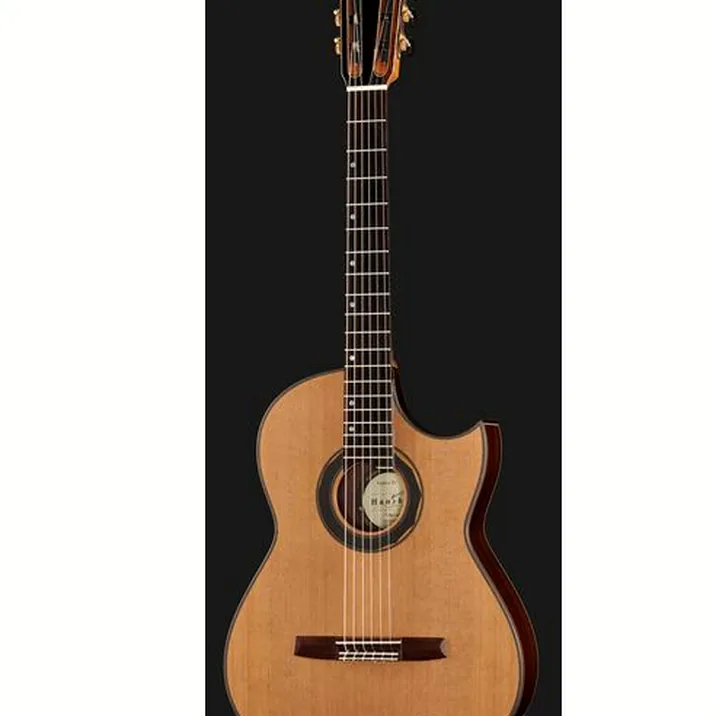 Hanika Fusion PC w/Pickup