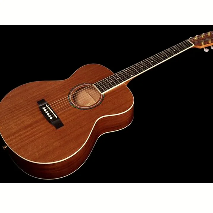 Harley Benton Bluesgitarre Set