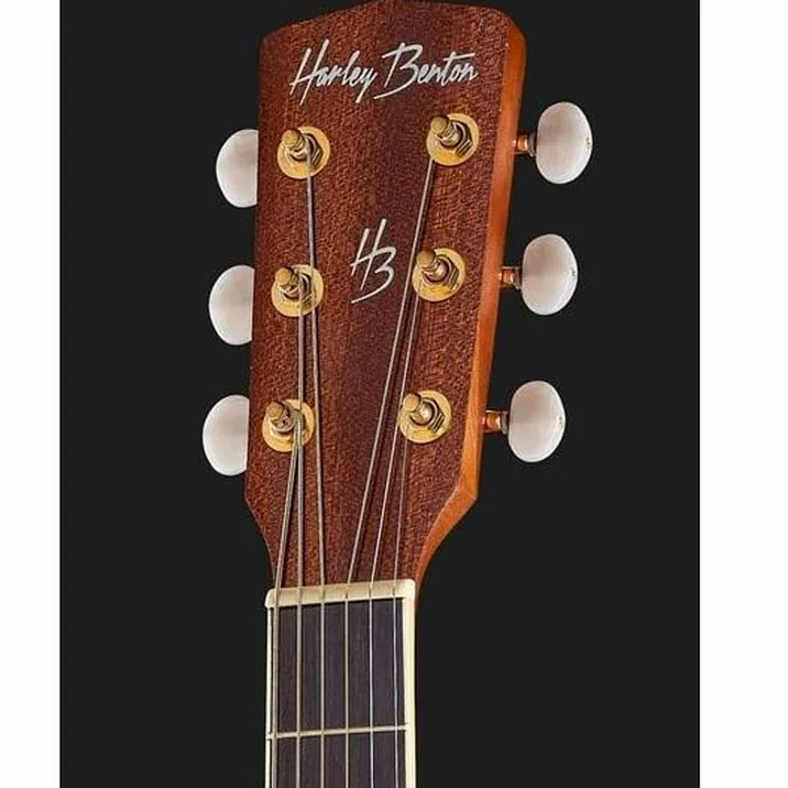 Harley Benton Bluesgitarre Set
