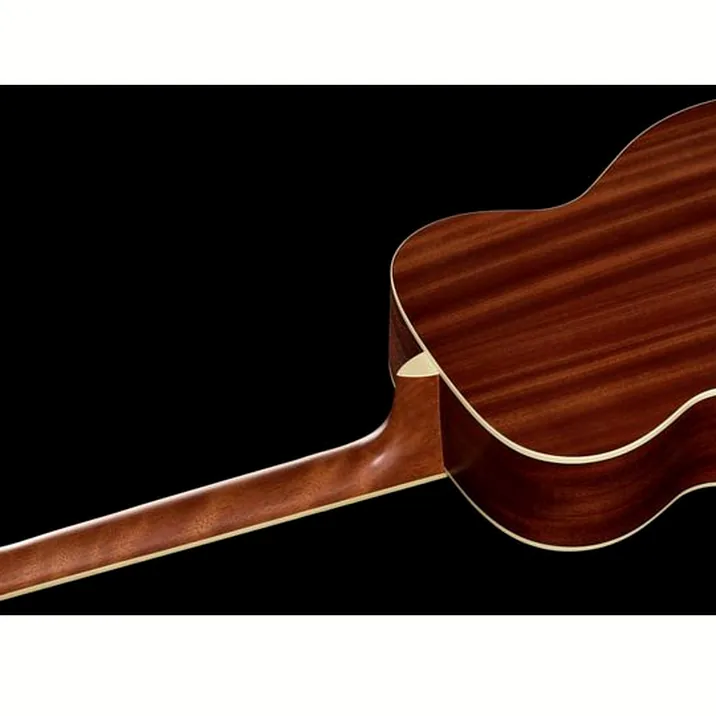 Harley Benton Bluesgitarre Set