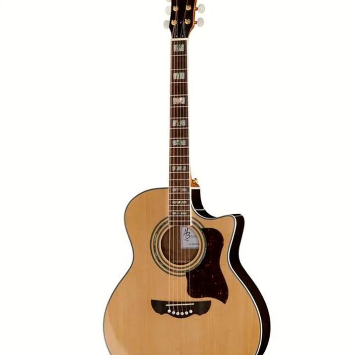 Harley Benton CLJ-503CE WN