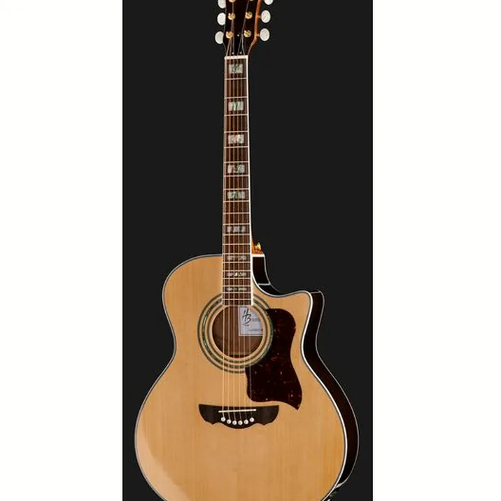 Harley Benton CLJ-503CE WN