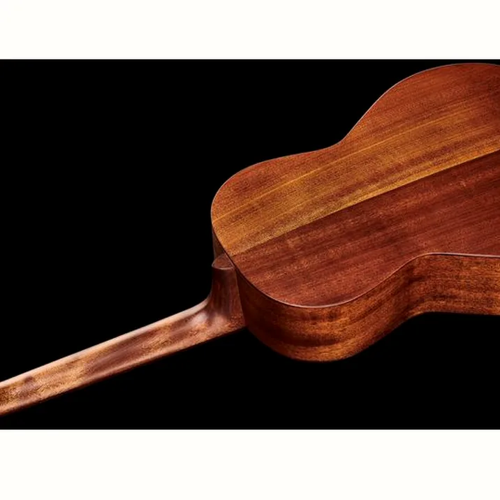Harley Benton CLP-15ME SolidWood Bundle