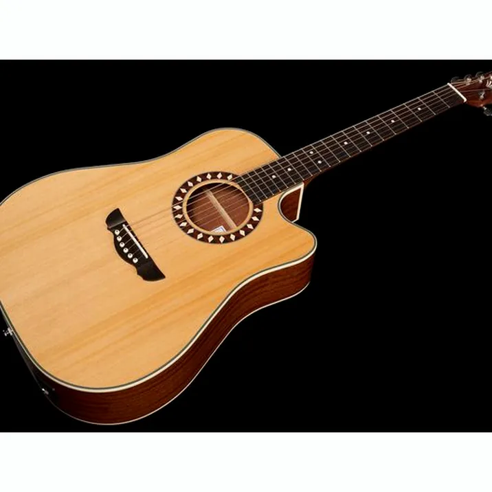 Harley Benton Custom Line CLD-1048SCE Bundle