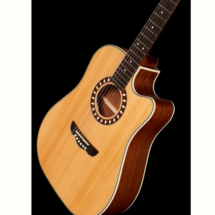 Harley Benton Custom Line CLD-1048SCE Bundle