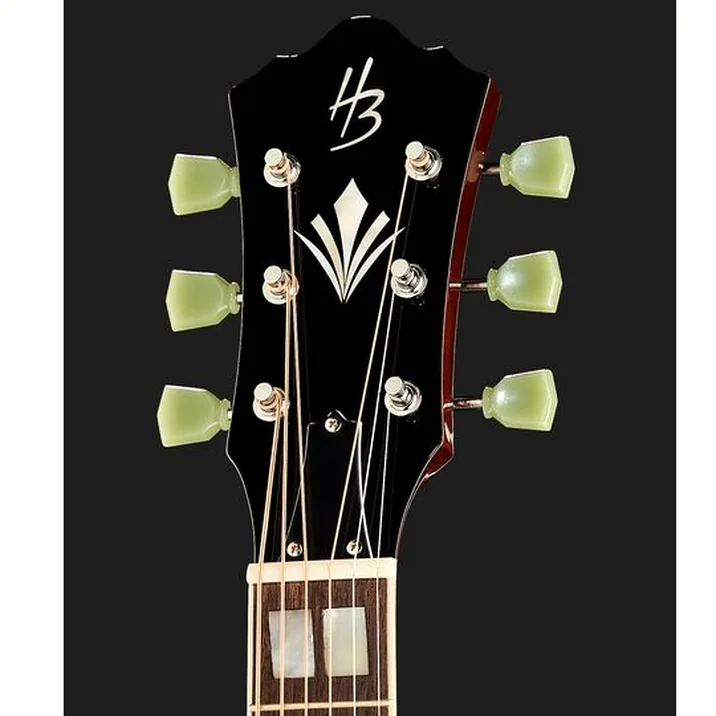 Harley Benton Custom Line Superior-E Bundle