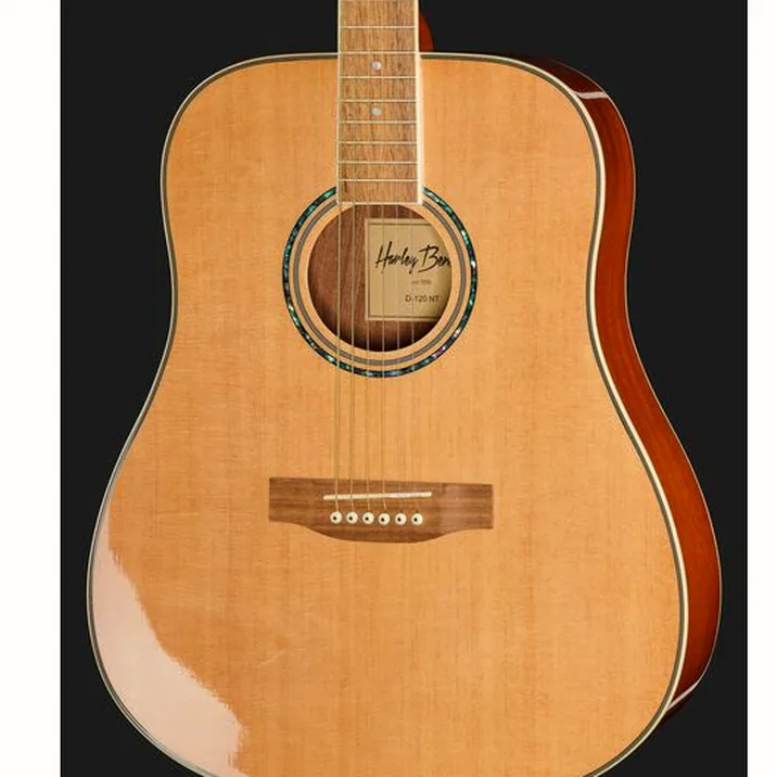 Harley Benton D-120NT w/Bag