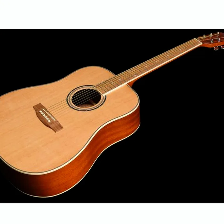 Harley Benton D-120NT w/Bag