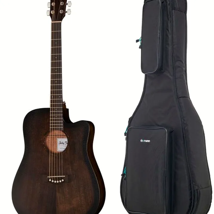Harley Benton Delta Blues DCE Set 1