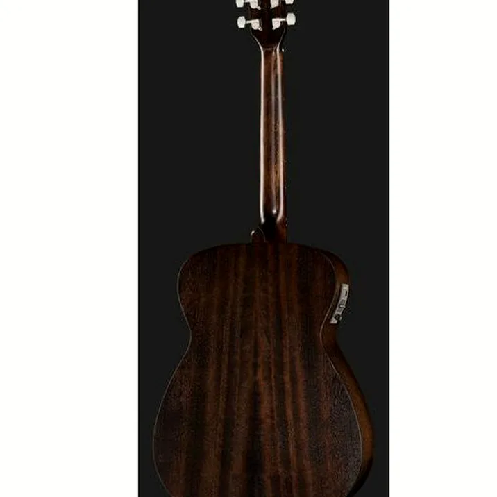 Harley Benton Delta Blues OE Set 1