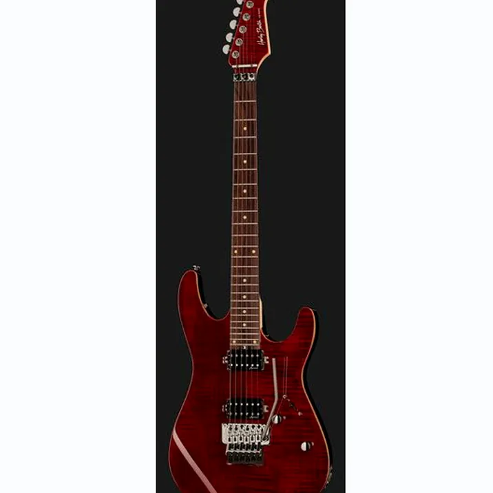 Harley Benton Fusion-III HH FR EB FCH