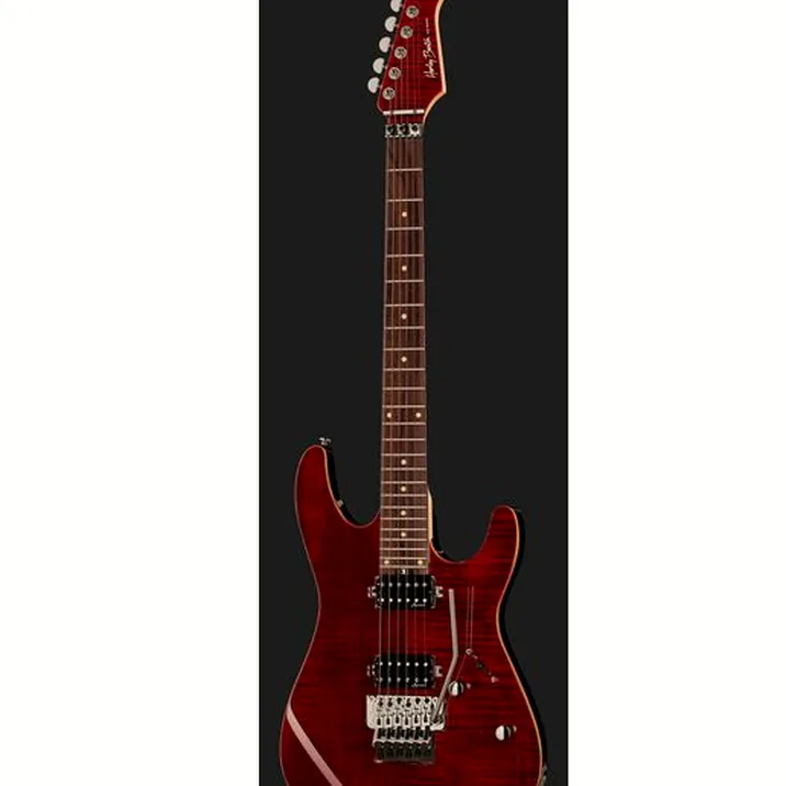 Harley Benton Fusion-III HH FR EB FCH w/Case