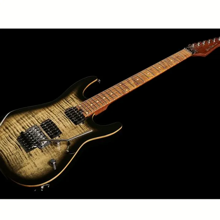 Harley Benton Fusion Iii Hh Fr Roast W Case Set