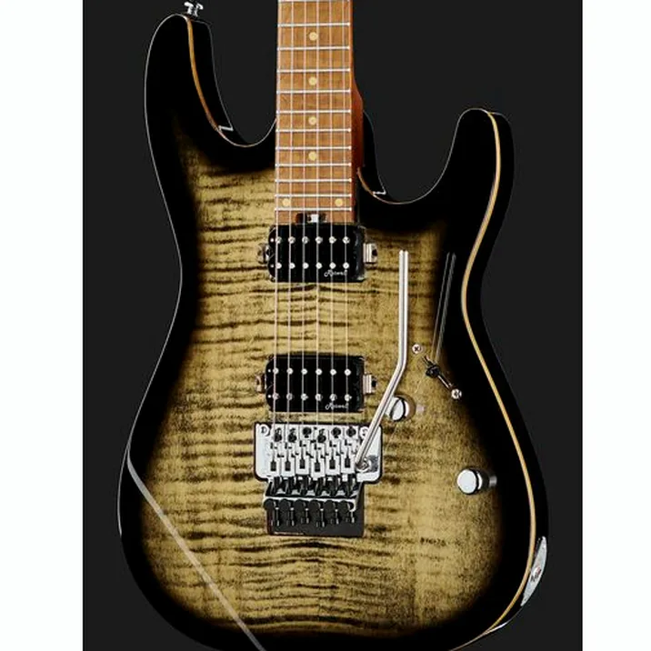 Harley Benton Fusion Iii Hh Fr Roast W Case Set
