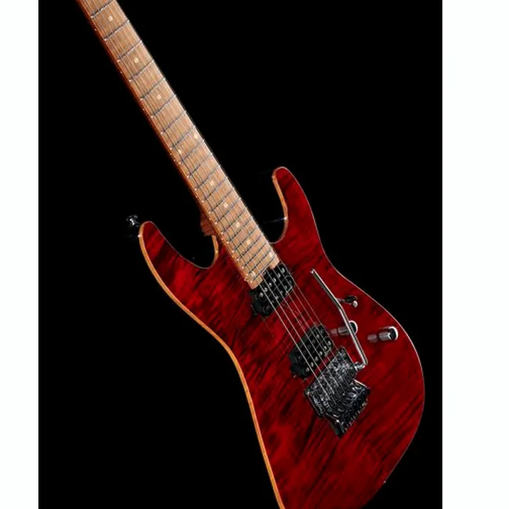 Harley Benton Fusion Iii Hh Fr Roasted Fch