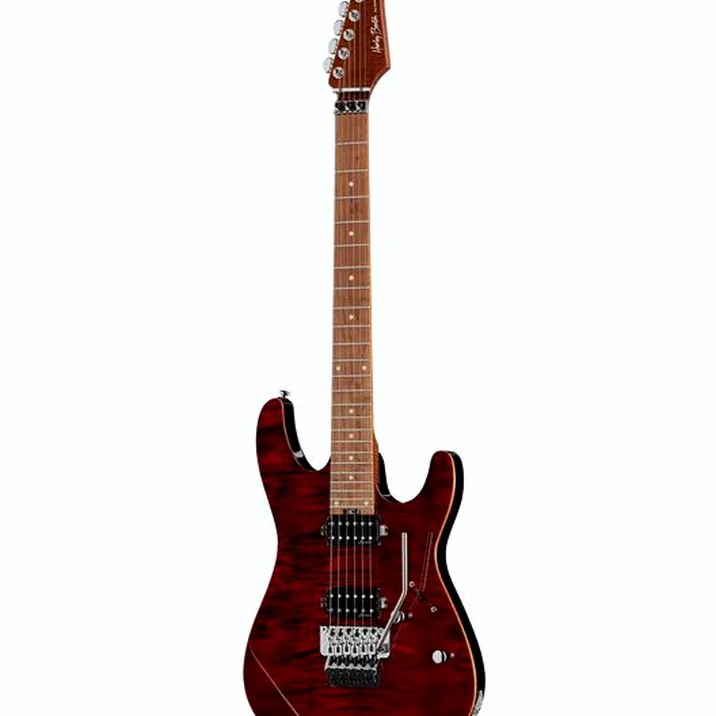 Harley Benton Fusion-III HH FR Roasted FCH
