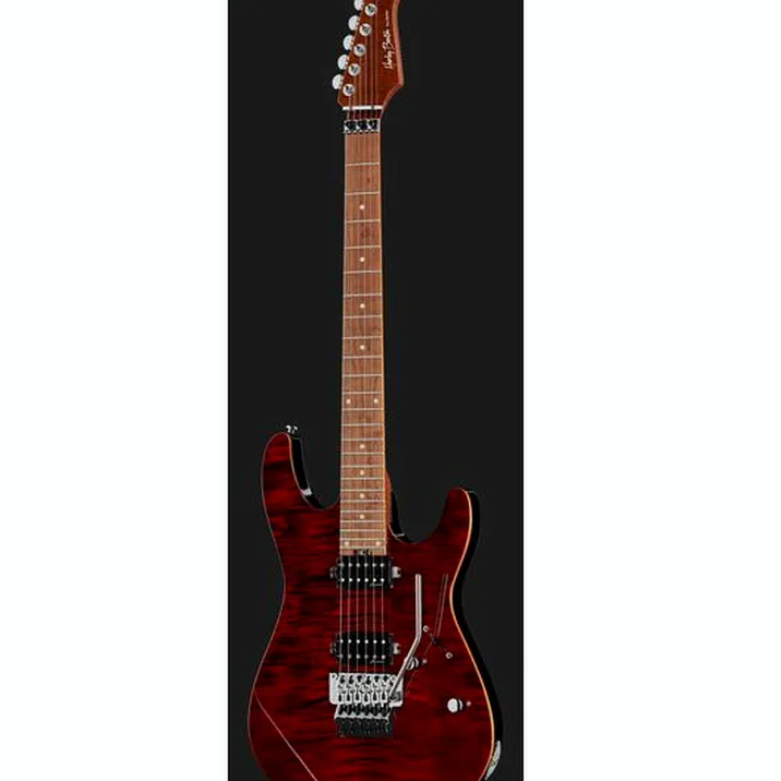 Harley Benton Fusion-III HH FR Roasted FCH
