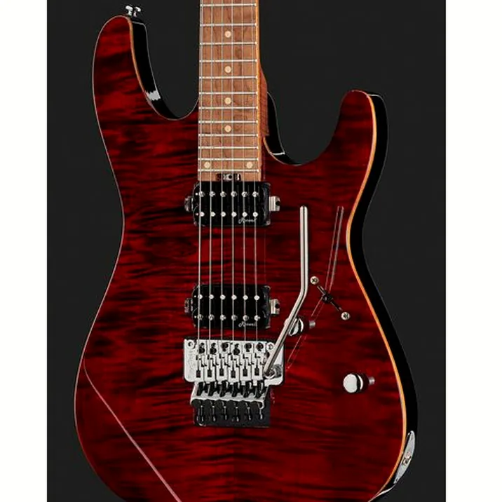 Harley Benton Fusion Iii Hh Fr Roasted Fch