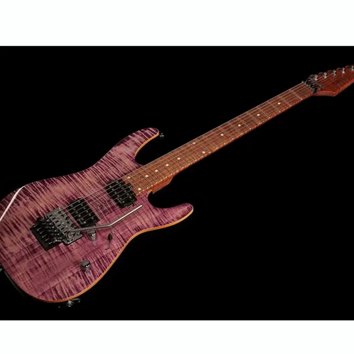 Harley Benton Fusion Iii Hh Fr Roasted Fpu