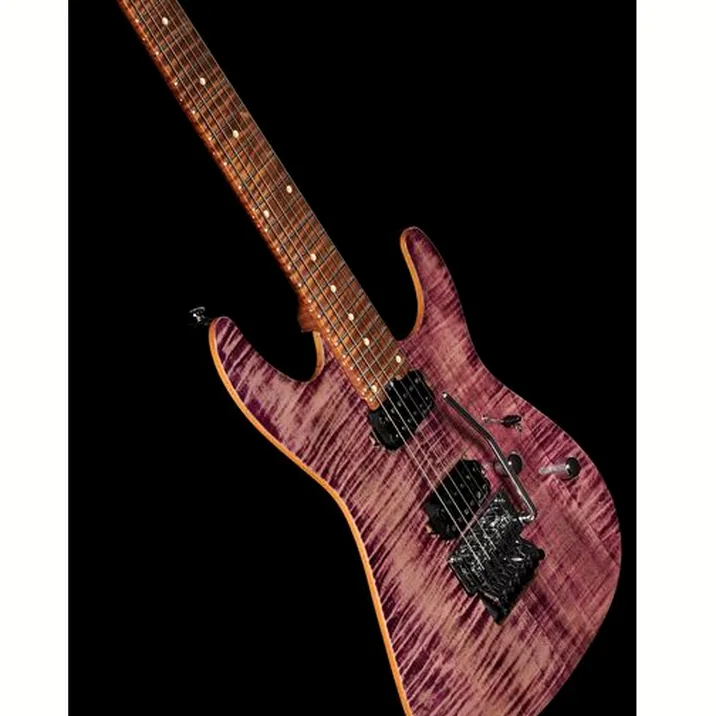 Harley Benton Fusion Iii Hh Fr Roasted Fpu