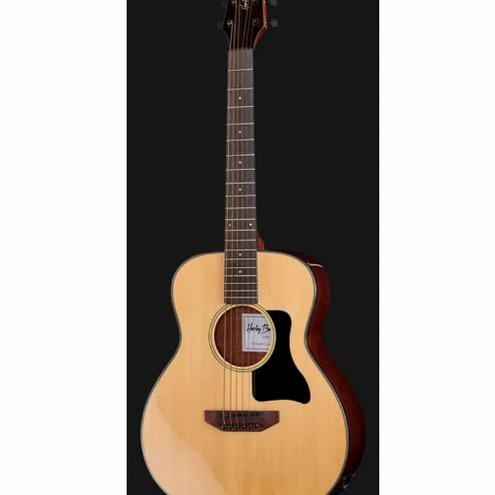 Harley Benton GS-Travel-E Spruce Bundle