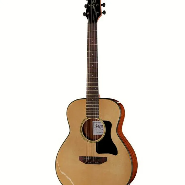 Harley Benton GS-Travel Spruce