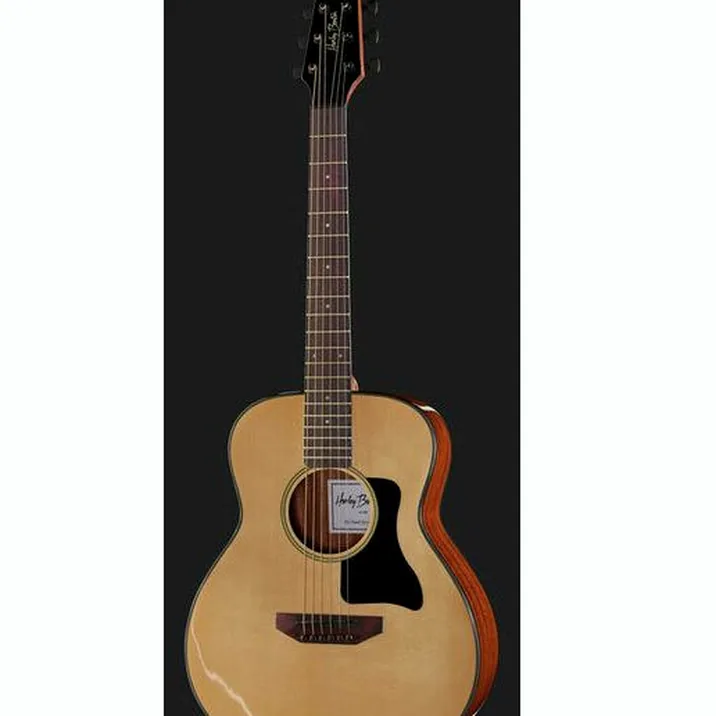Harley Benton GS-Travel Spruce