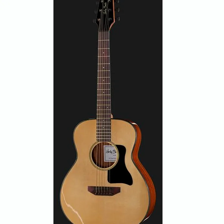Harley Benton GS-Travel Spruce Bundle